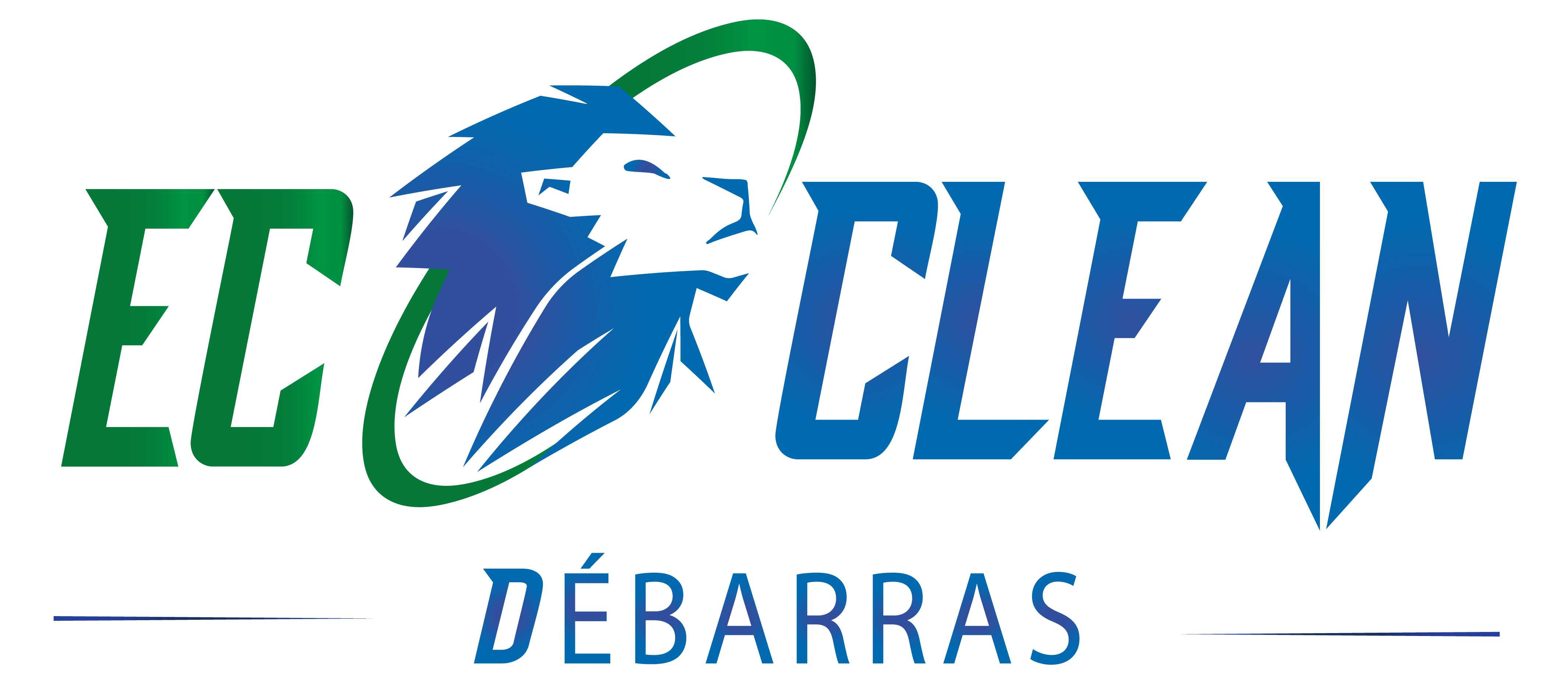 EcoClean Débarras | Entreprise de nettoyage, débarras, déménagement Annecy